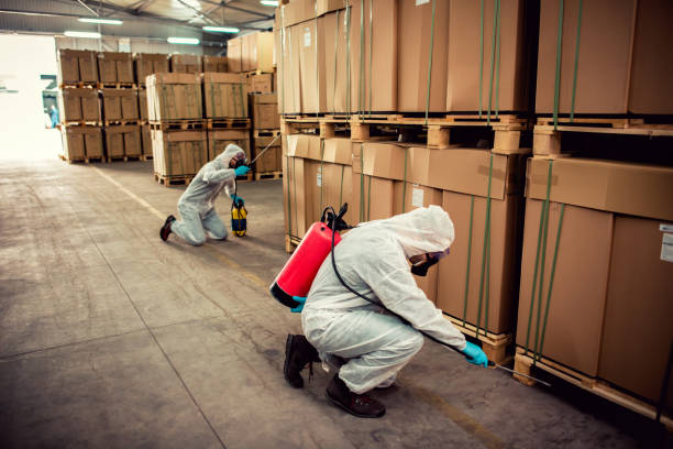 Best Emergency Pest Control  in Fairmont, MN