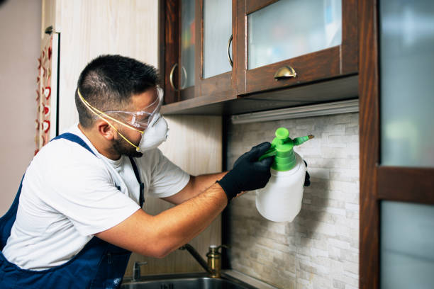  Fairmont, MN Pest Control Pros