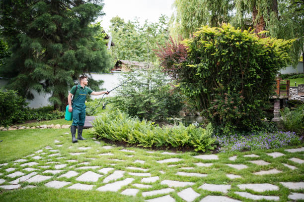 Best Pest Control Cost  in Fairmont, MN