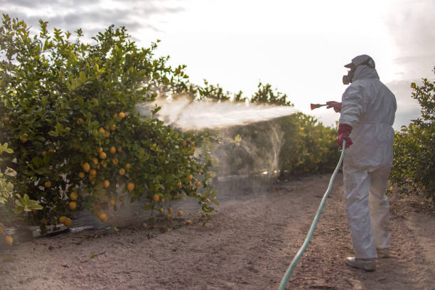 Best Affordable Pest Control Services  in Fairmont, MN