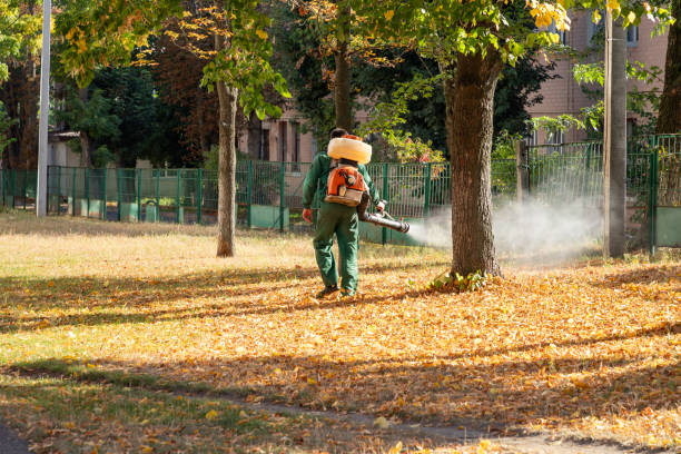 Best Wildlife Control Services  in Fairmont, MN