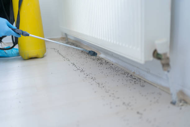 Best Mosquito Control Services  in Fairmont, MN