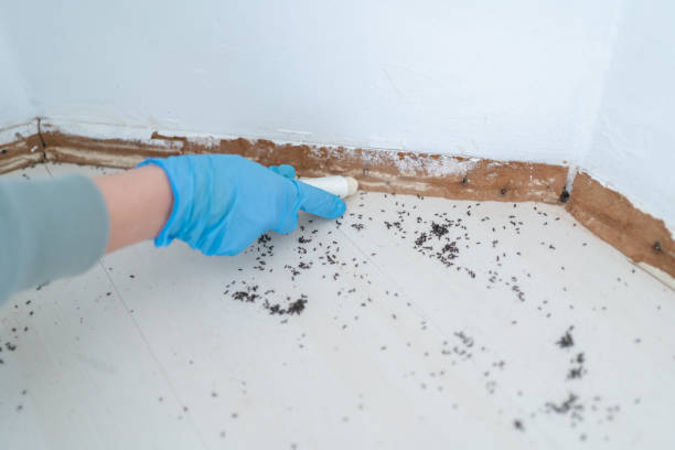 Best Pest Removal Services  in Fairmont, MN