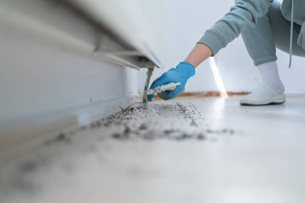 Best Affordable Exterminators  in Fairmont, MN